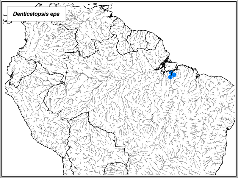 Denticetopsis epa map