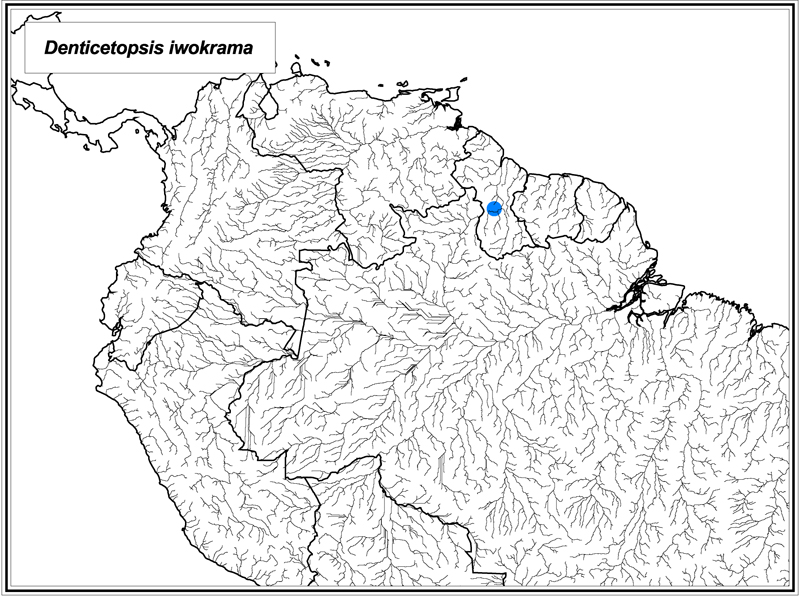 Denticetopsis iwokrama map