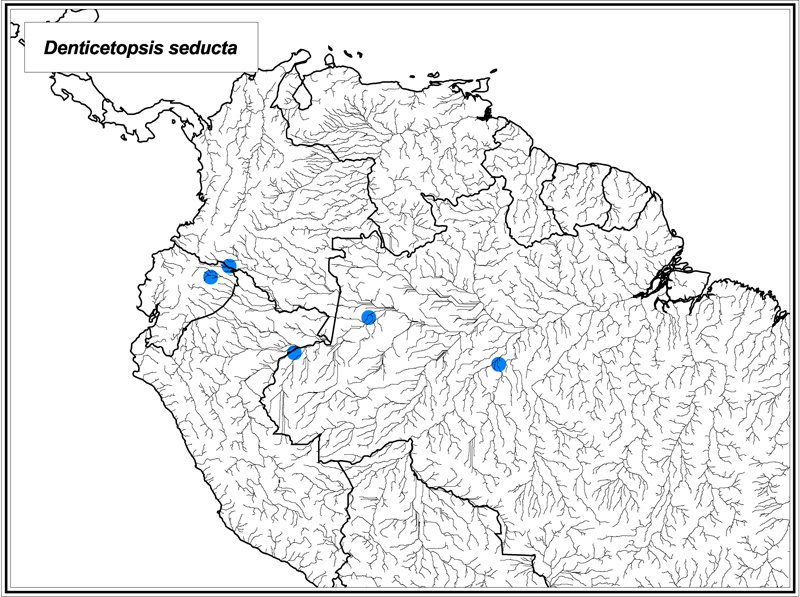 Denticetopsis seducta map