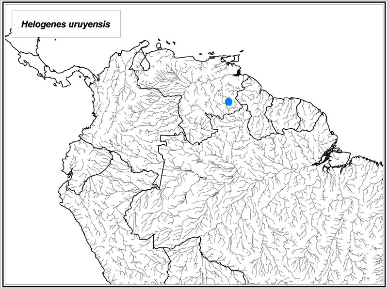 Distribution Map