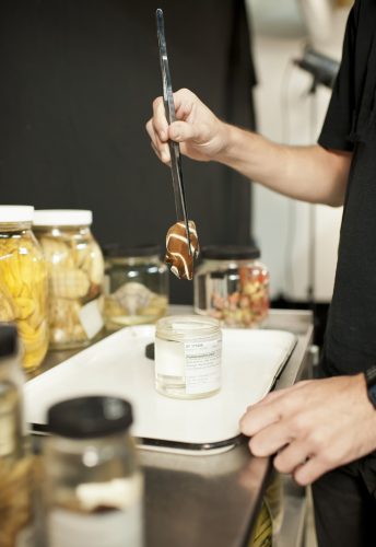 placing fish specimen in jar