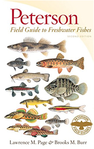 Peterson Field Guide to Freshwater Fishes book cover