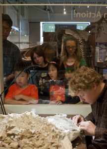 “Titanoboa: Monster Snake” features a Paleo Prep Lab like the one pictured here where visitors may interact with scientists and volunteers working on other Titanoboa fossils.Florida Museum photo by Kristen Grace