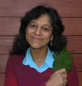 Nalini Nadkarni, 2013 recipient of the Florida Museum of Natural History’s Archie F. Carr Medal. Photo courtesy of University of Utah