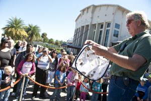 Michael Boulware, living exhibit specialist at the Florida Museum, releasing butterflies during ButterflyFest. Florida Museum of Natural History photo by Kristen Grace