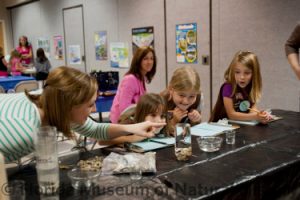 Brownie Girl Scouts enjoy an exploration event at the Florida Museum. Florida Museum photo by Jeff Gage