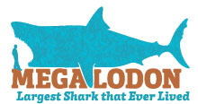 Megalodon exhibit logo