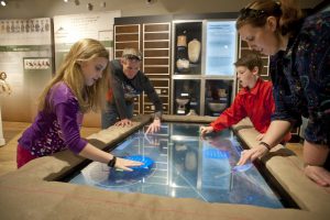 The “First Colony: Our Spanish Origins” exhibition features an interactive, hands-on table that gives visitors the opportunity to work as an archaeologist, including uncovering artifacts. The Florida Museum of Natural History in Gainesville will display “First Colony” Florida Museum of Natural History photo by Kristen Grace