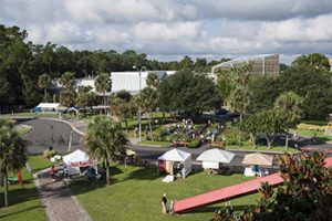 Florida Museum of Natural History photo by Kristen Grace