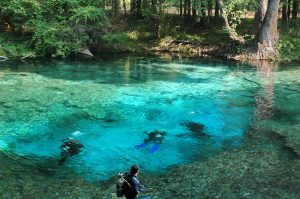 Divers at Ginnie Springs. UF/IFAS photo by Sally Lanigan