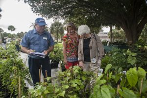 people look at plants