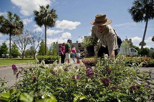 Museum volunteers prepare for a plant sale.