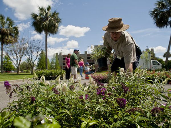 Museum volunteers prepare for a plant sale.