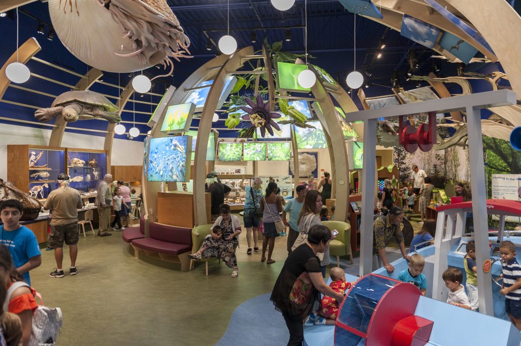 The Discovery Zone's central area.