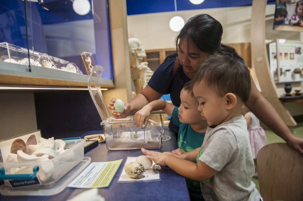 A family interacts with eggs in the Discovery Zone exhibit.