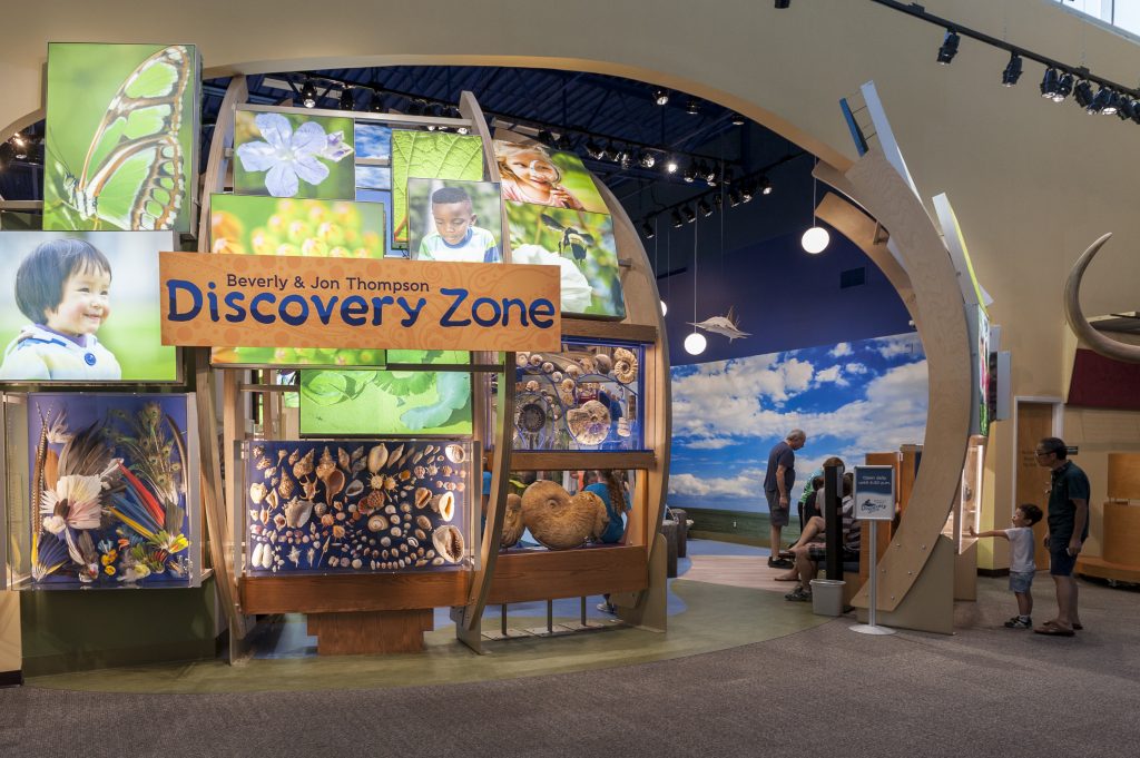 The front of the Discovery Zone exhibit.