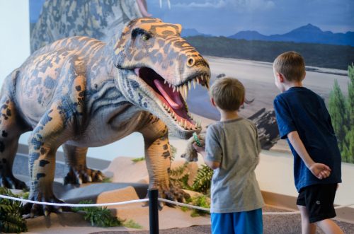 Seven animatronic figures bring the Permian Period to life and let guests see and hear from some of its most distinguished creatures, like this Titanophoneus, in the “Permian Monsters: Life Before the Dinosaurs” exhibit, on display at the Florida Museum in Gainesville Sept. 29, 2018-May 5, 2019. ©Photo courtesy of Gondwana Studios