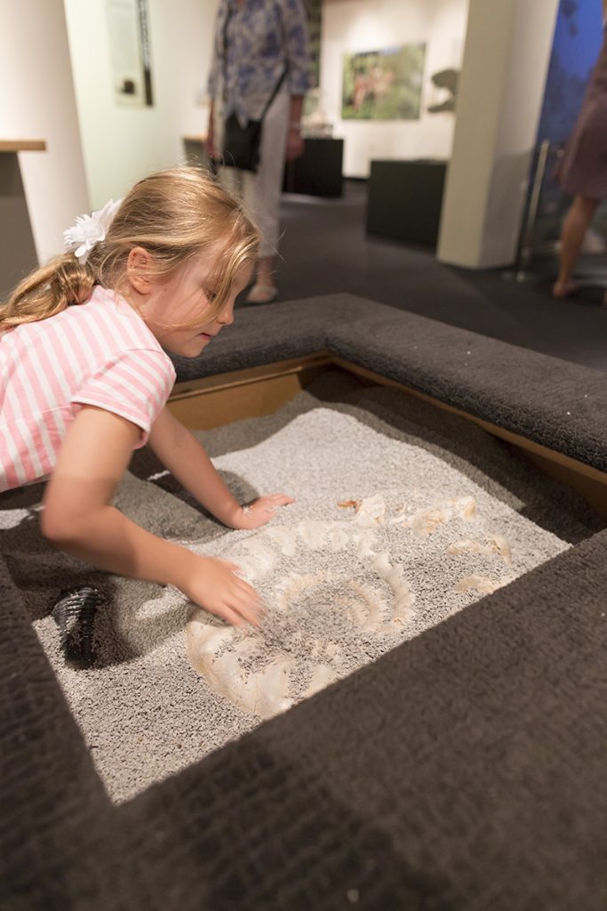 Visitors will have the opportunity to step into the shoes of a paleontologist and sift through two interactive dig pits in the “Permian Monsters: Life Before the Dinosaurs” exhibit, on display at the Florida Museum in Gainesville Sept. 29, 2018-May 5, 2019. ©Photo courtesy of Denis Smith