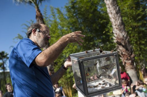 Jaret Daniels, director of the museum's McGuire Center for Lepidoptera and Biodiversity, releases native butterflies.
