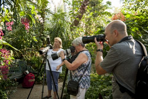 Visitors take part in the Picture Perfect Photography Workshop in the "Butterfly Rainforest" exhibit. 
