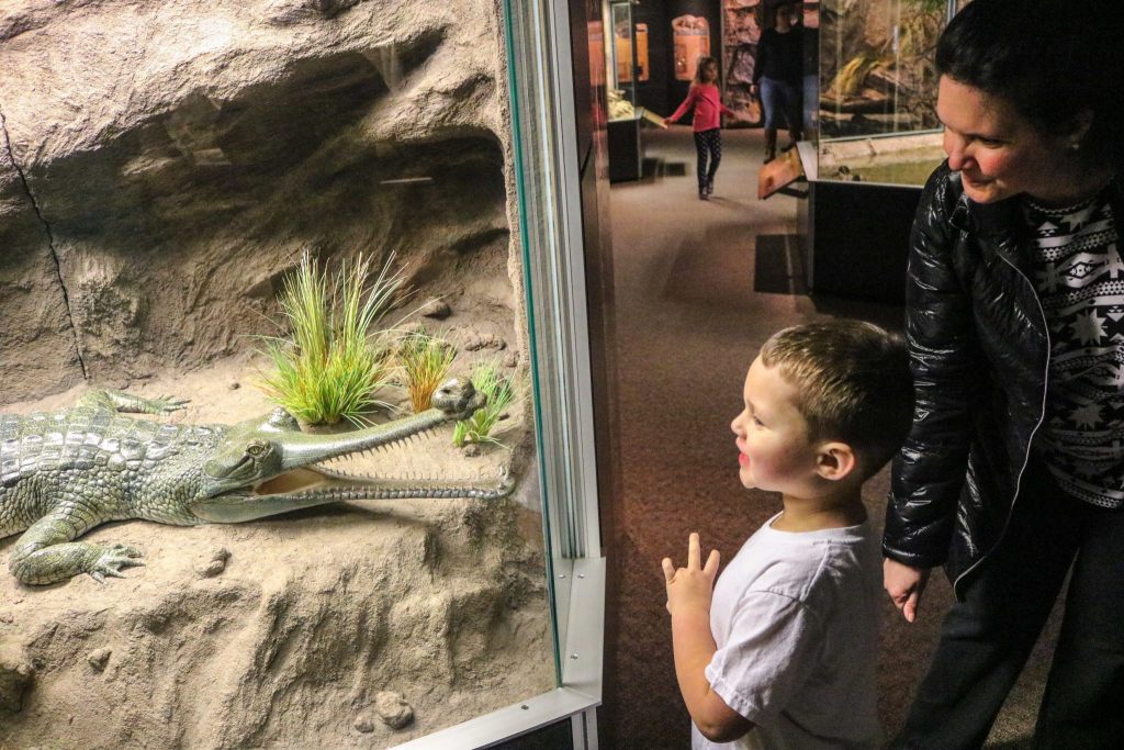 woman and child look at gharial model