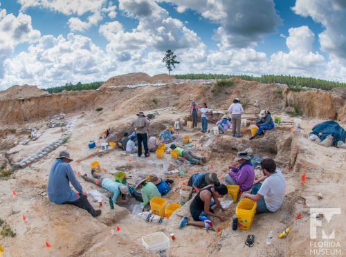 people at Montbrook dig site