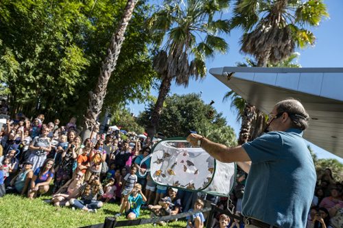 person releasing butterflies