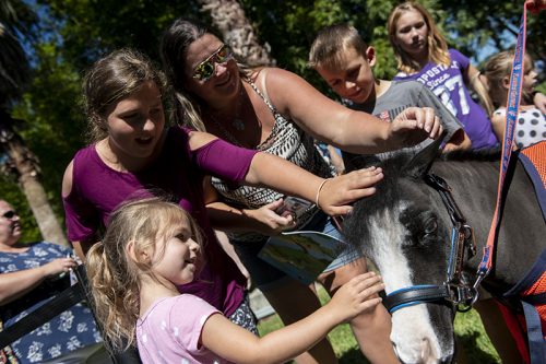 people petting horse
