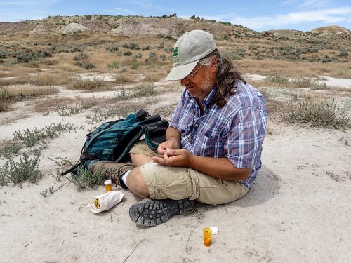 man looks at fossils