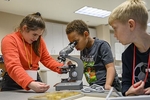 Campers look at microscope