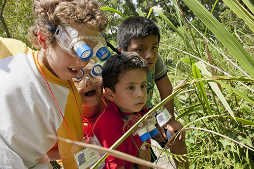 Campers find insects in the University of Florida’s Natural Area Teaching Lab during a summer camp program. ©Florida Museum photo by Kristen Grace Campers explore NATL
