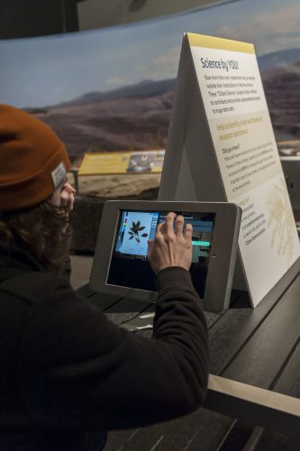 Volunteer working at a computer