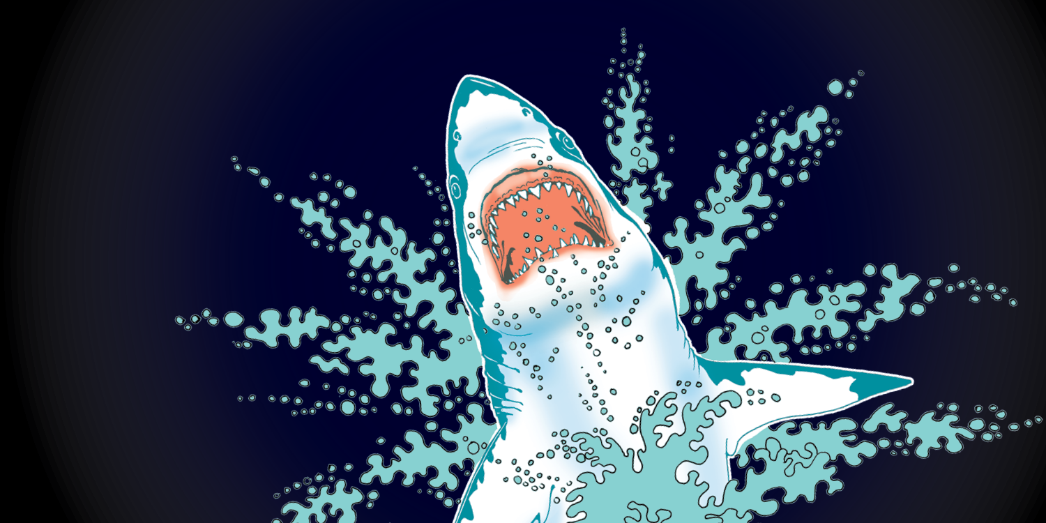 Megalodon: Largest Shark that Ever Lived – Pressroom