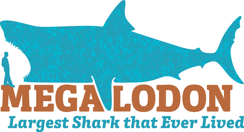 Megalodon: Largest Shark that Ever Lived – Pressroom