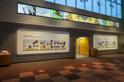 exhibit panels in gallery