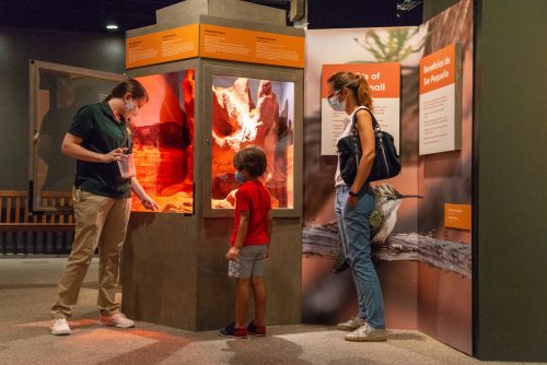 people looking into enclosure