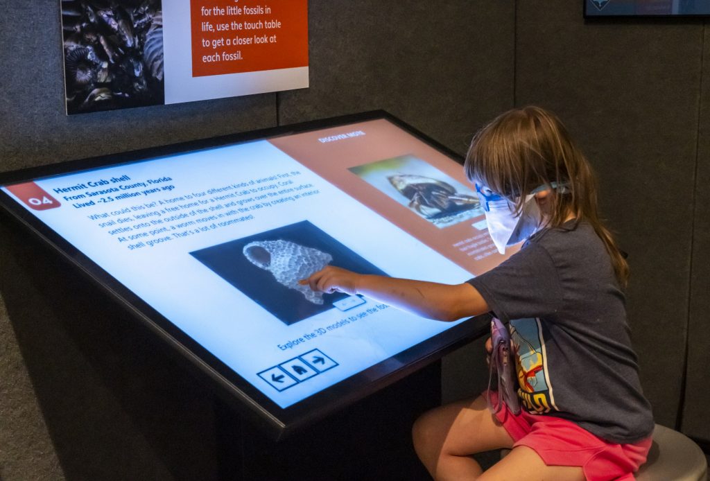 The touch table provides interactive learning for visitors, along with a paleoart activity and a magnified display to get an up-close look at tiny fossils. ©Florida Museum/Kristen Grace