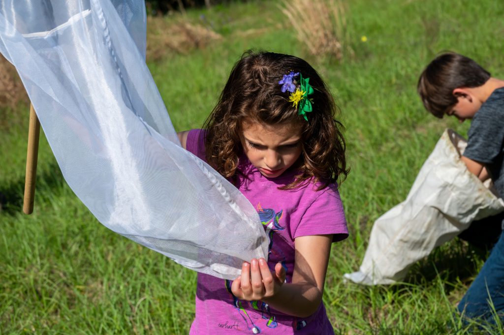 Children inspect what they caught with bug nets