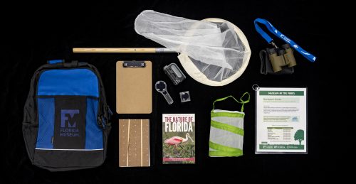 A backpack, binoculars, a plant press, butterfly net, bug enclosure, bug lens case, hand lens, clipboard, pocket microscope and a copy of “The Nature of Florida” field guide with a black background