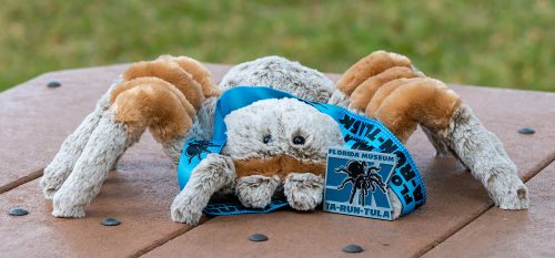 A stuffed animal in the shape of a tarantula has a medal hanging on its neck.