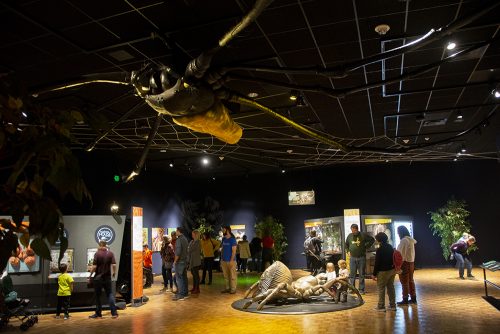 people in exhibit with models of spiders