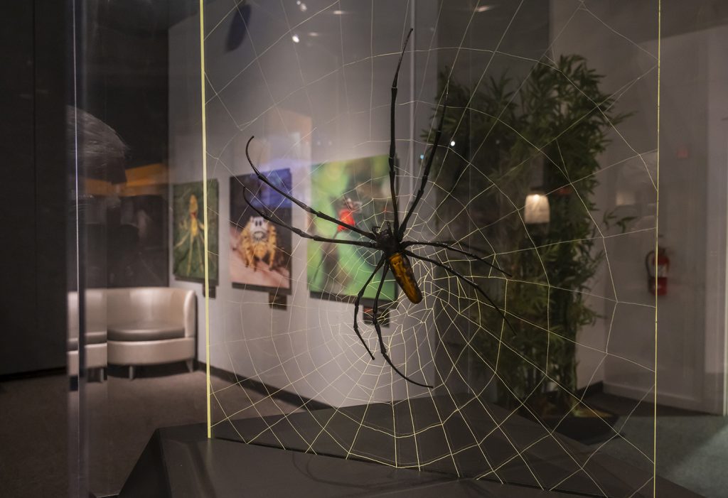 model of spider with photos in the back