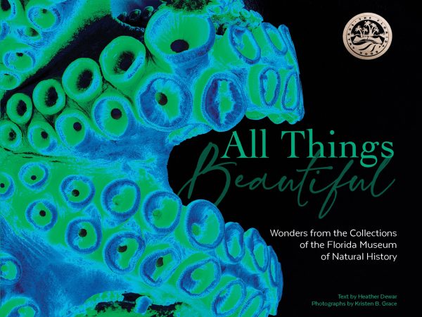 All things beautiful book cover