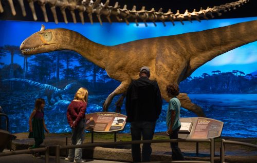 people looking at dinosaur model