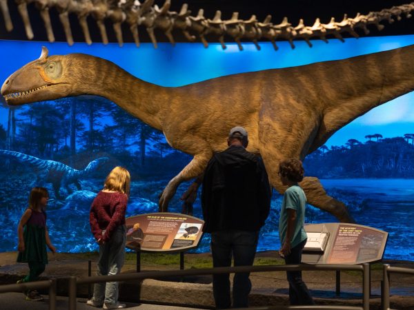 people looking at dinosaur model