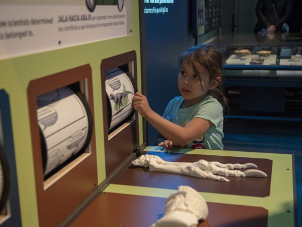 child interacting with exhibit