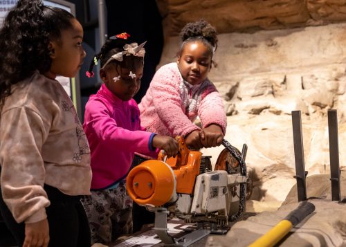 children taking part in fossil digging interactive