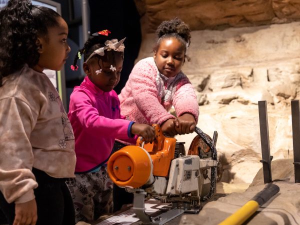 children taking part in fossil digging interactive