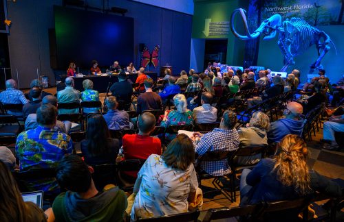 An audience gathers for a Q&A with panel members.