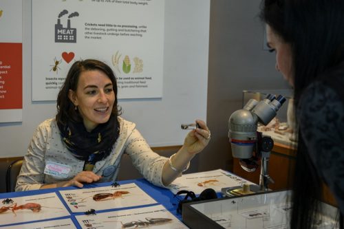 A person showing another person an insect specimen
